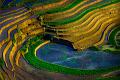 869 - STARTING SEASON - NGUYEN TUONG DUY - viet nam